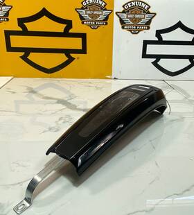 46634 Harley-davidson Kcp-21-dash 21-24 Oem Street Glide Touring Fuel Gas Tank Dash Console Cover Panel
