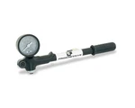 Progressive Gauge-mounted Pump Small Body 0-300 GP3-300. Fixed Price $71.99.