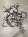 Dakota 2002 Engine Wire Harness 663313. Fixed Price $259.00.