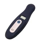 Digital Tire Pressure Gauge. Fixed Price $10.99.