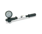 Progressive GP3-300 0-300 Lb Mntd Pump. Fixed Price $75.99.