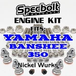 Nickel Yamaha Banshee Engine Bolt Kit YFZ350 Head Cylinder Crankcase Clutch Mag. Fixed Price $56.99.