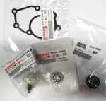Original Yamaha Water Pump Kit X-city 125 From 2008 To 2018. Fixed Price $93.94.