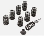 New Oem Harley Davidson Milwaukee Eight, Valve Spring Kit, Touring, 18100080 *. Fixed Price $245.00.