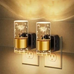 2 Pack Rose Carved Plug-in Night Light, 3000K, Rgb 10-COLOR, Dusk-dawn Sensor. Fixed Price $53.87.