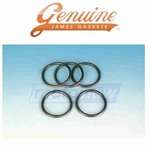 James Gasket Fuel Gauge O-rings For 1994-2000 Harley Davidson Fxds-conv Dyna Ab. Fixed Price $62.00.